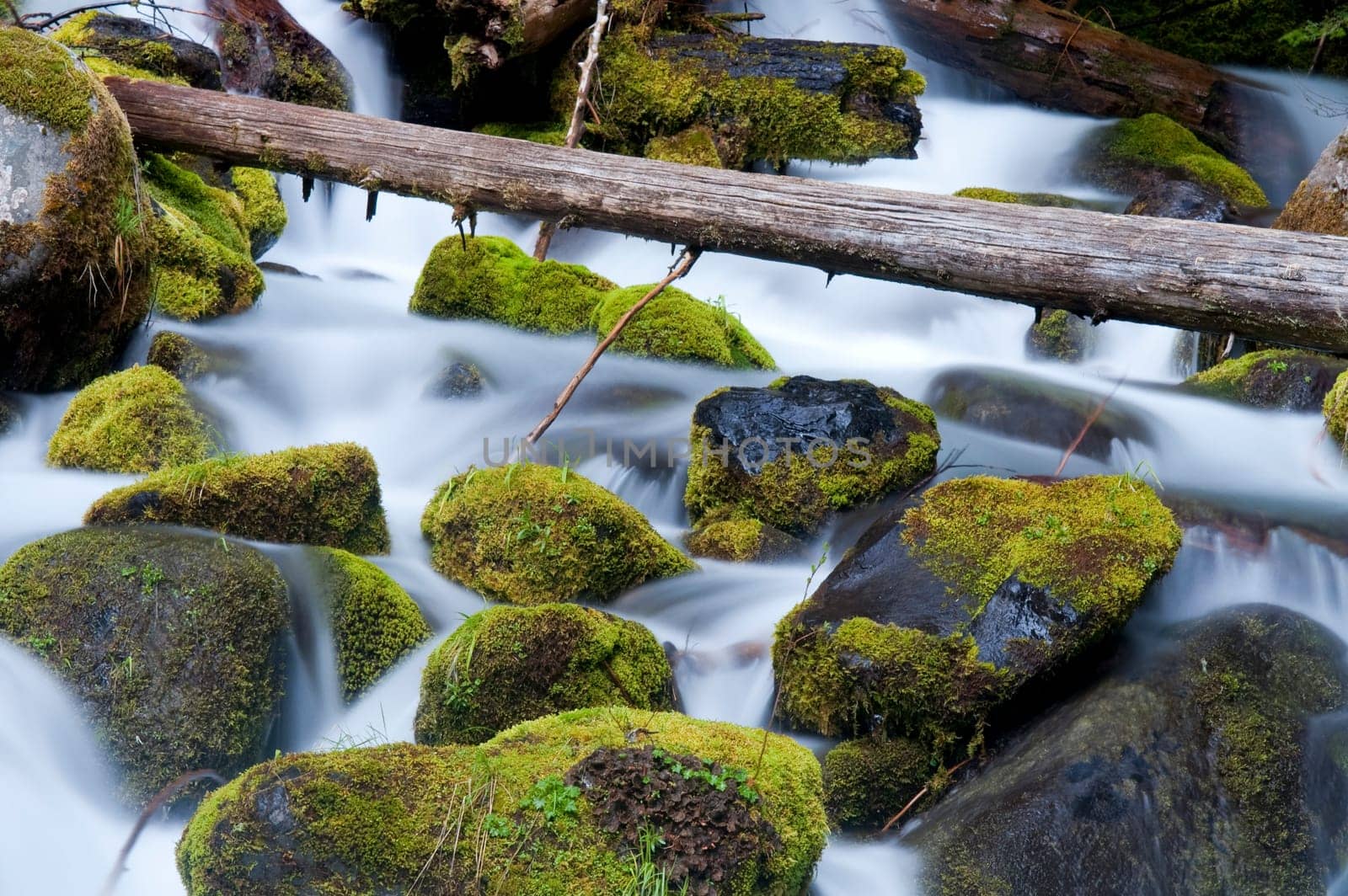 Moss Filled Boulders Fill Stream as Water Rushes By in this Oregon State River