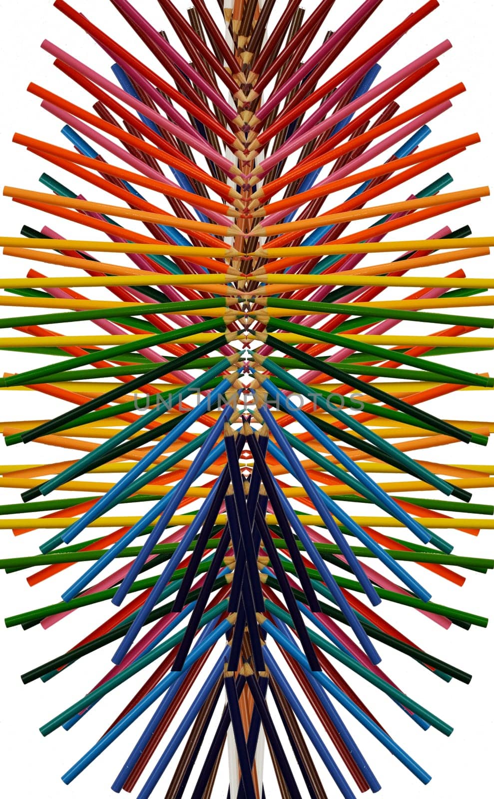 Many pencils forming a tangle