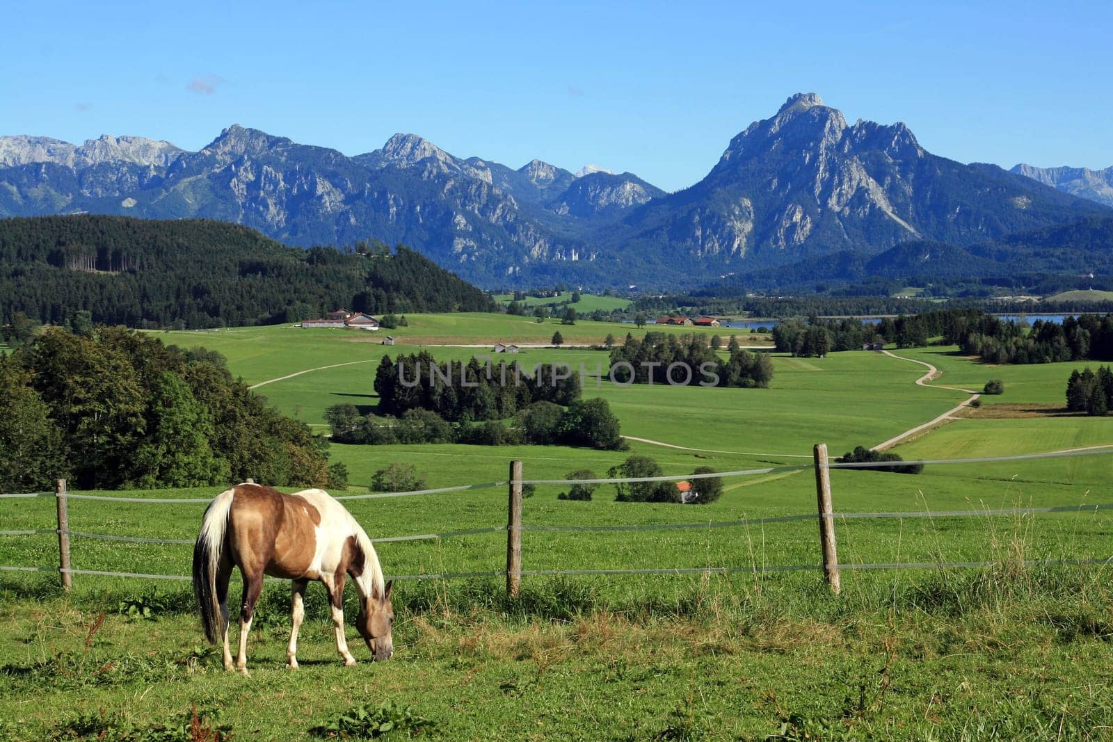 A beautiful Allgäu landscape