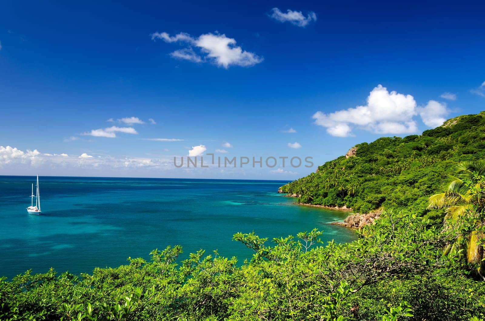 View of secluded bay next to lush green island with a yacht