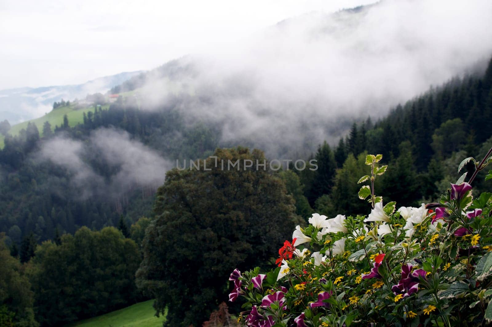 Beautiful view
