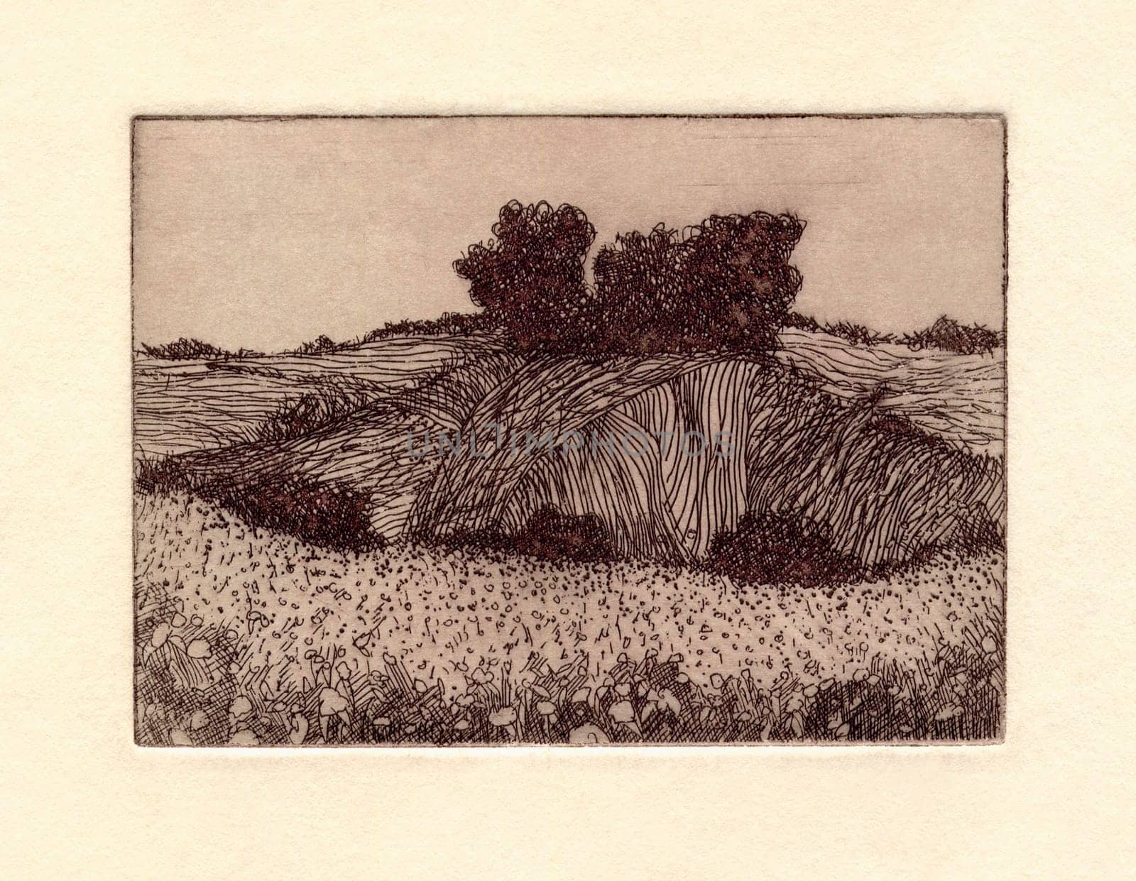 Etching Graphic Drawing Passepartout