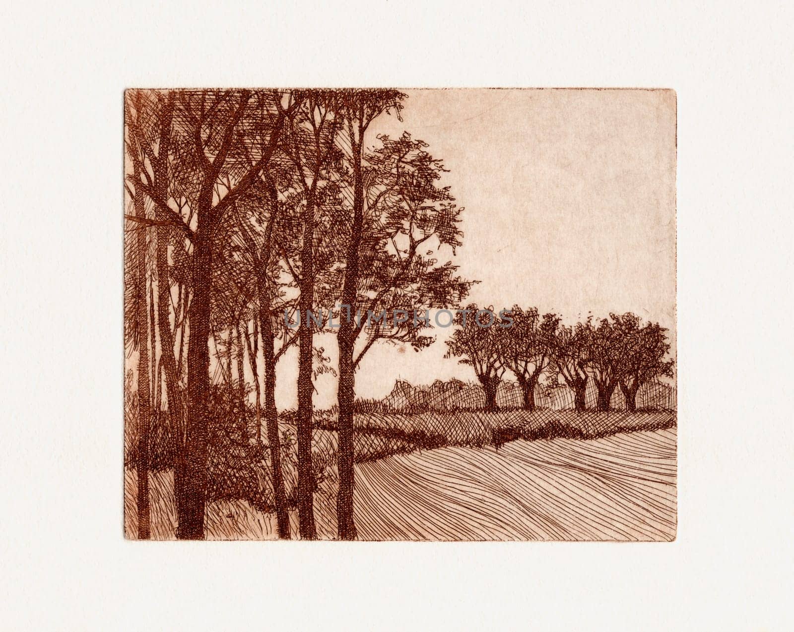 Etching Graphic Drawing Passepartout