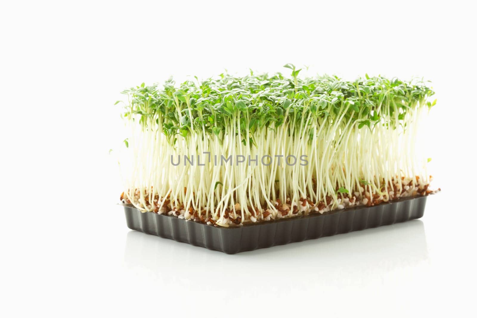 Cress