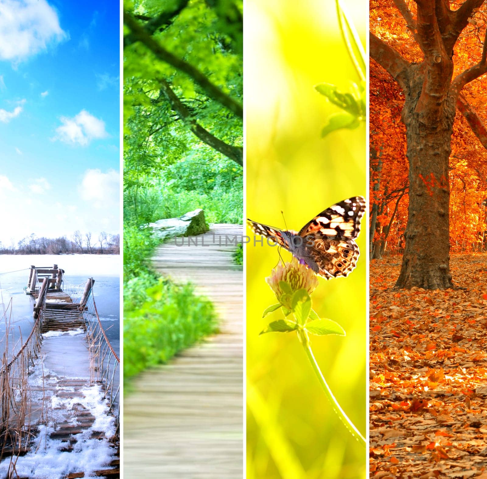 Seasons