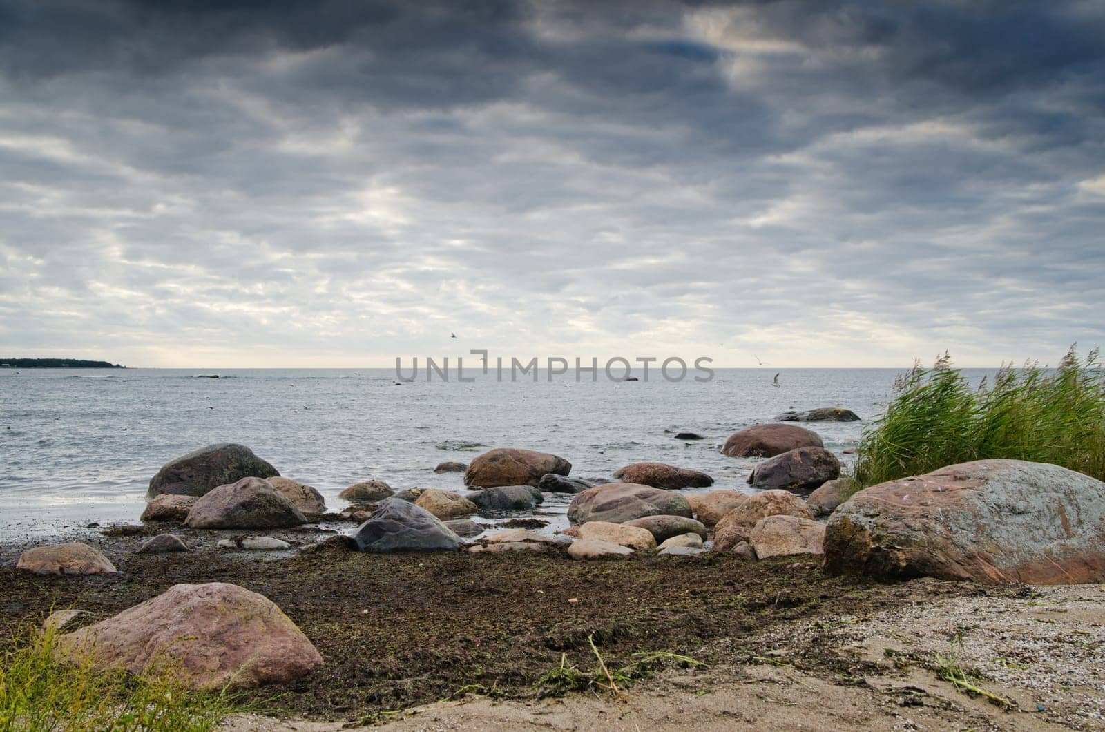 Stones on coast of Baltic sea