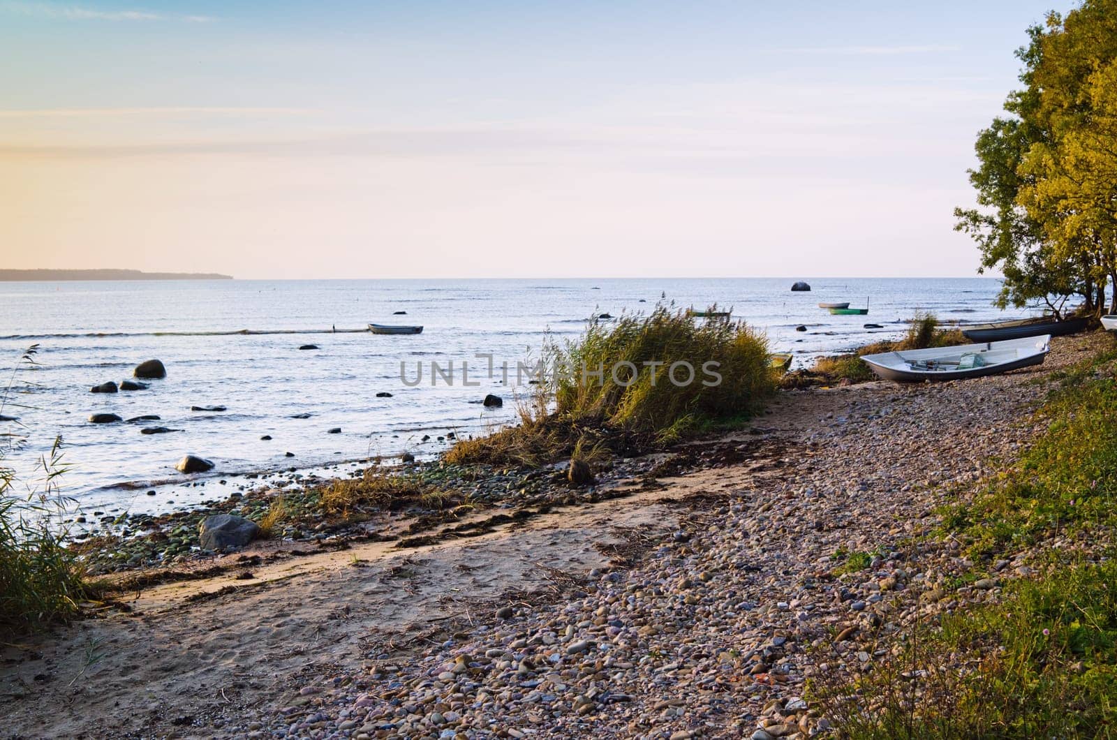Coast of the Baltic Sea at sunset