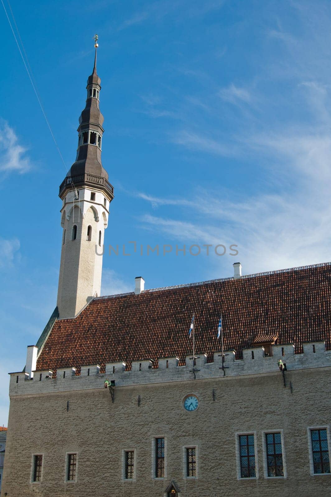 The Tallinn Town hall a sunny day