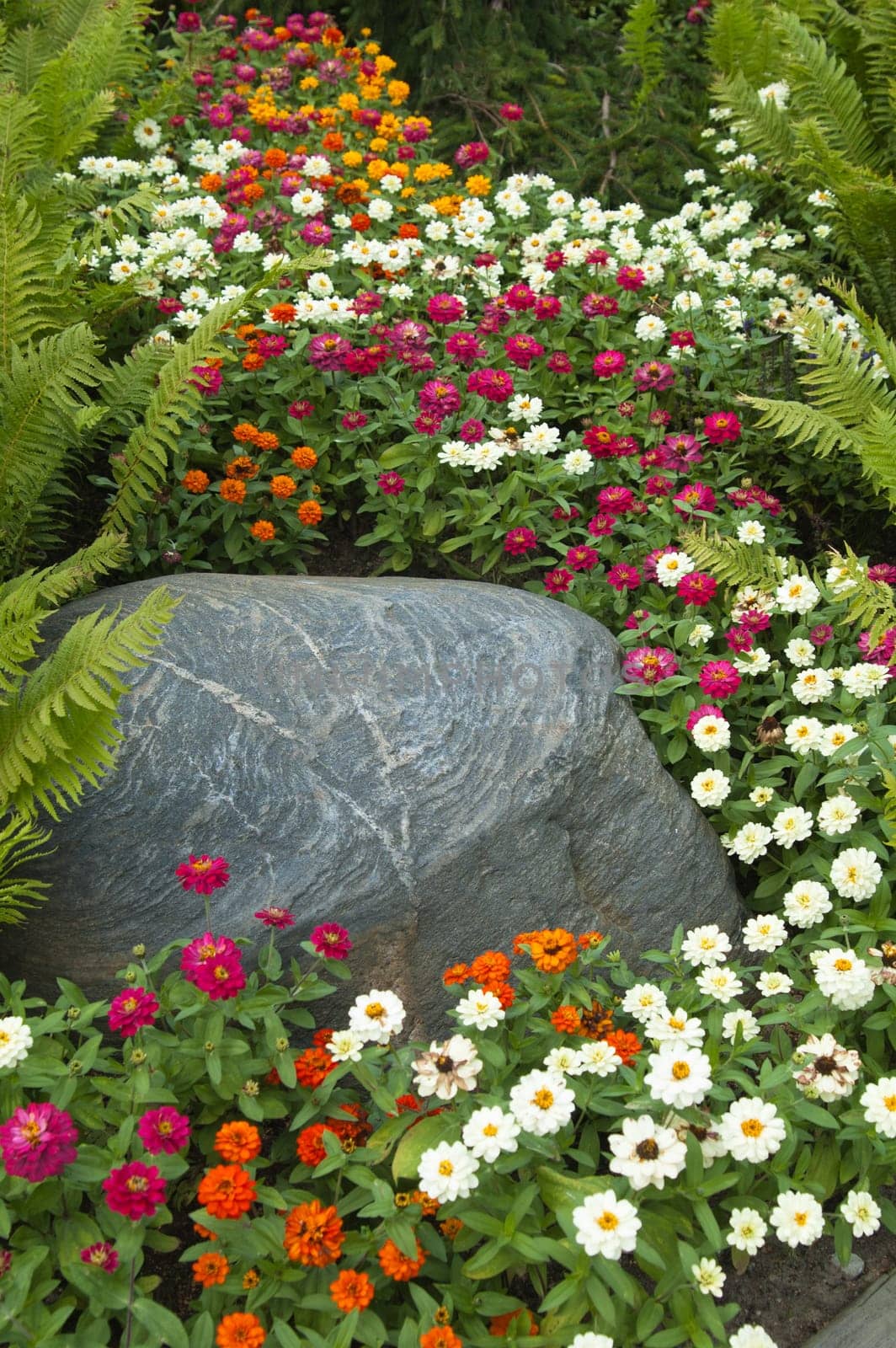Beautiful summer flowers in a flower-bed near the stone