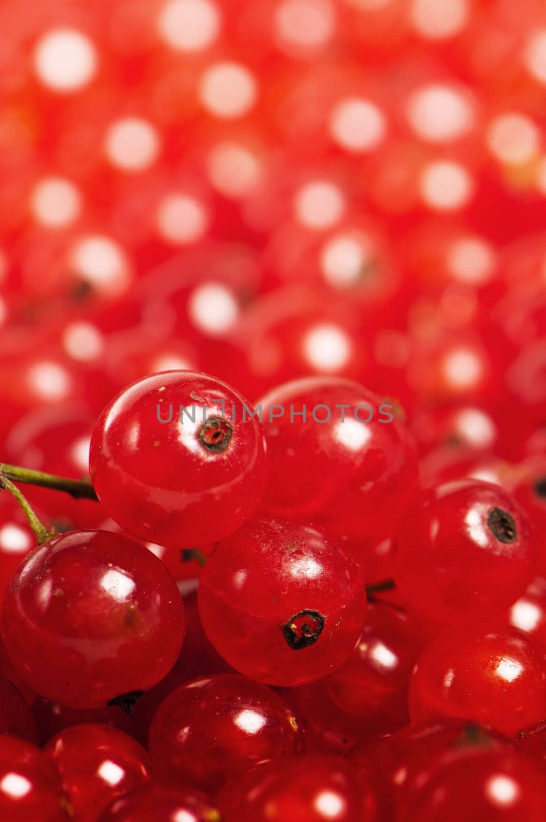 Redcurrant berries, close-up