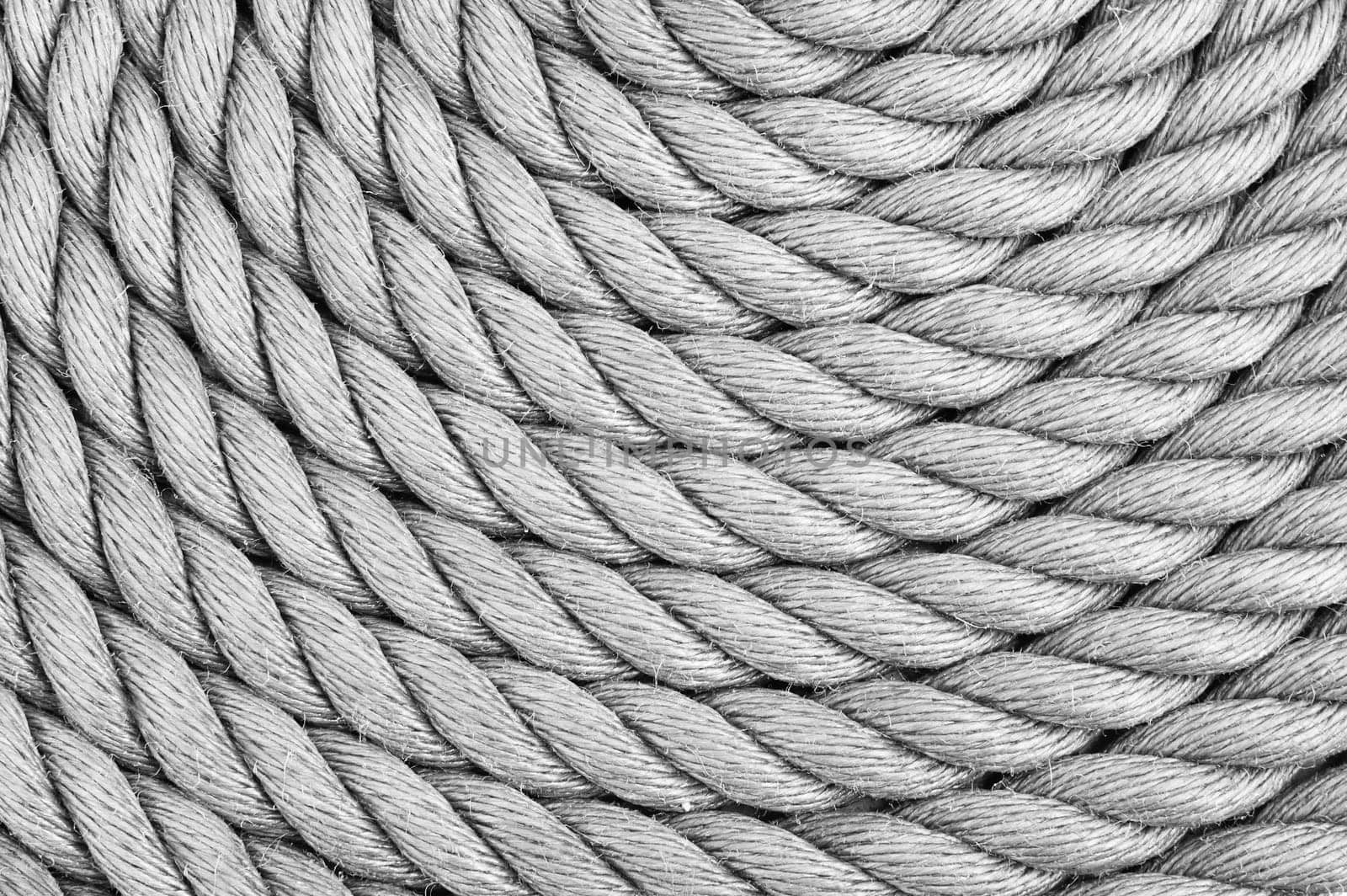Close-up shot of rope.