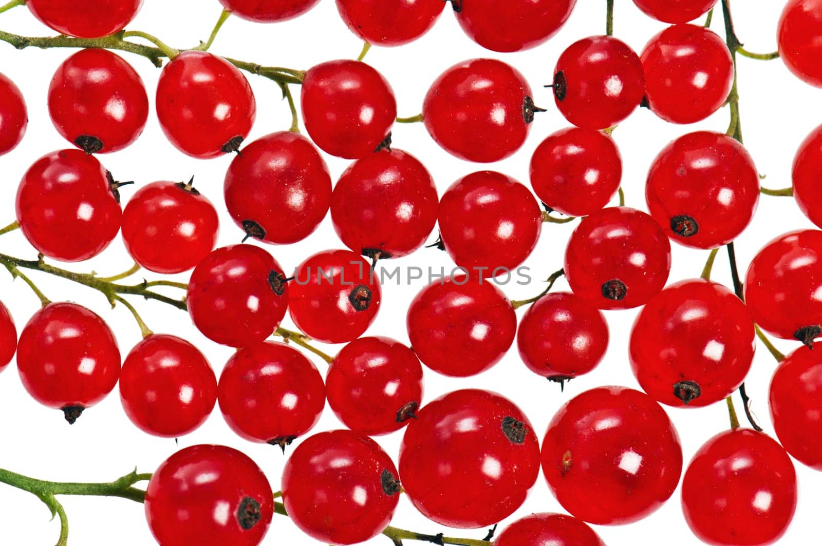 a bunch of red currant, isolated on white