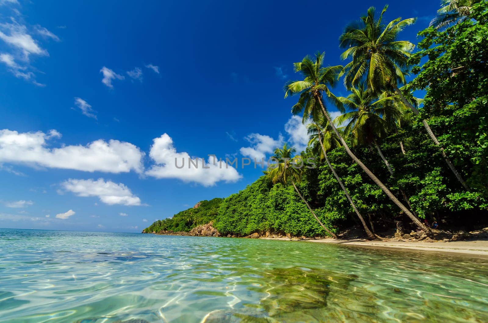 Crystal clear water next to beautiful secluded white sand beach in San Andres y Providencia, Colombia