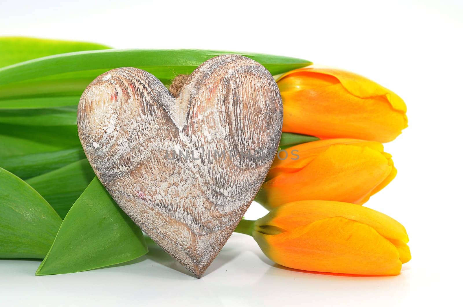 Tulips with heart