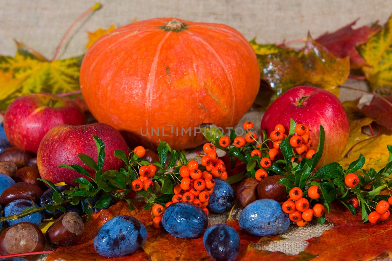 fall- still life