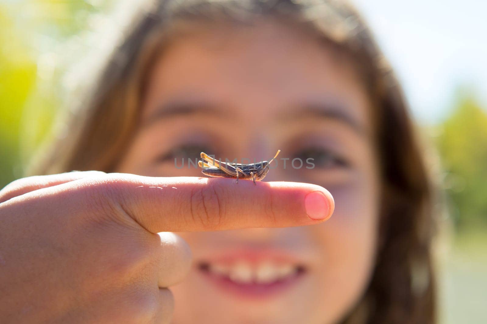 kid hand holding grasshopper bug macro detail