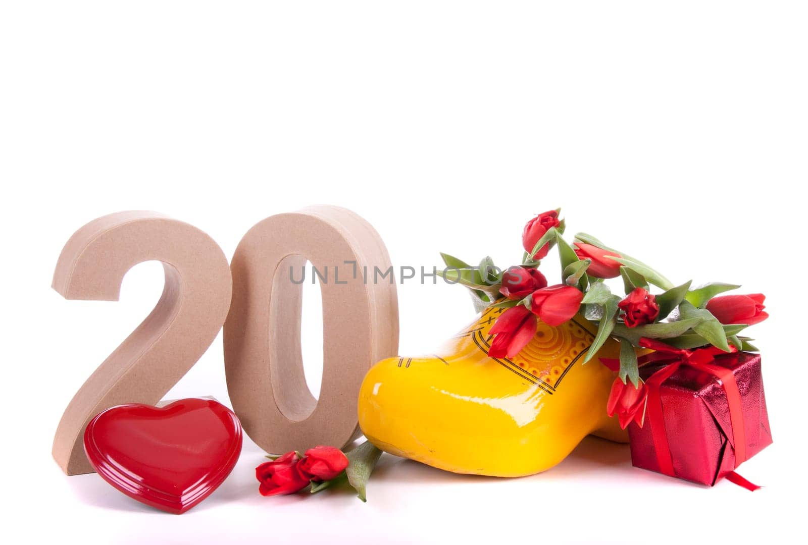 Marine sea shell in a studio setting against a white background