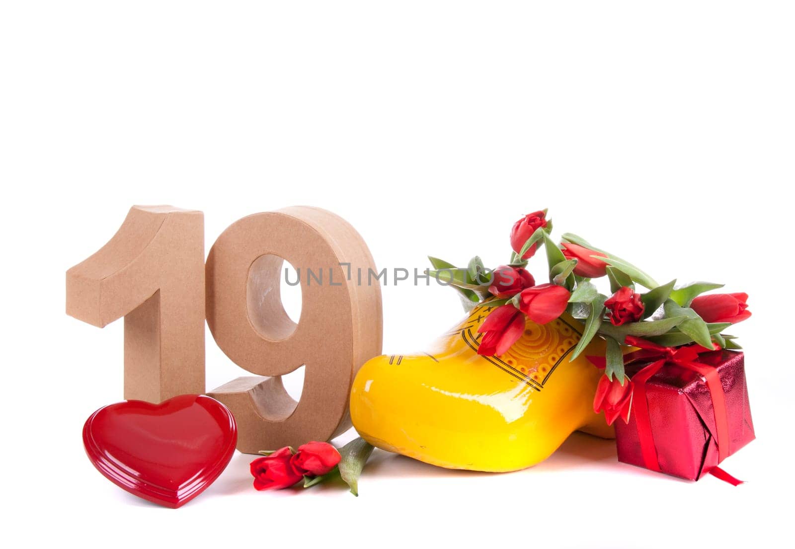 Marine sea shell in a studio setting against a white background