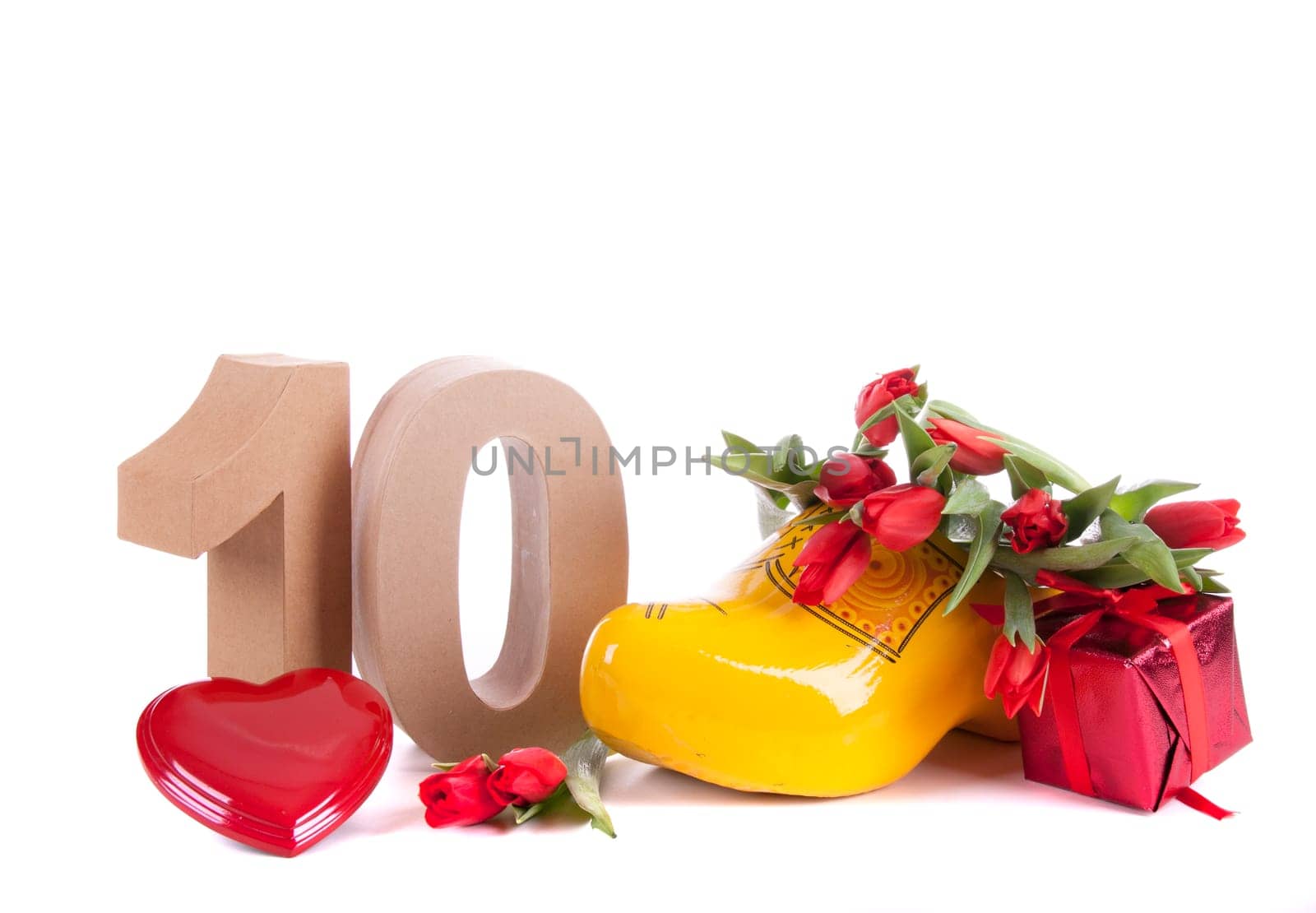 Marine sea shell in a studio setting against a white background