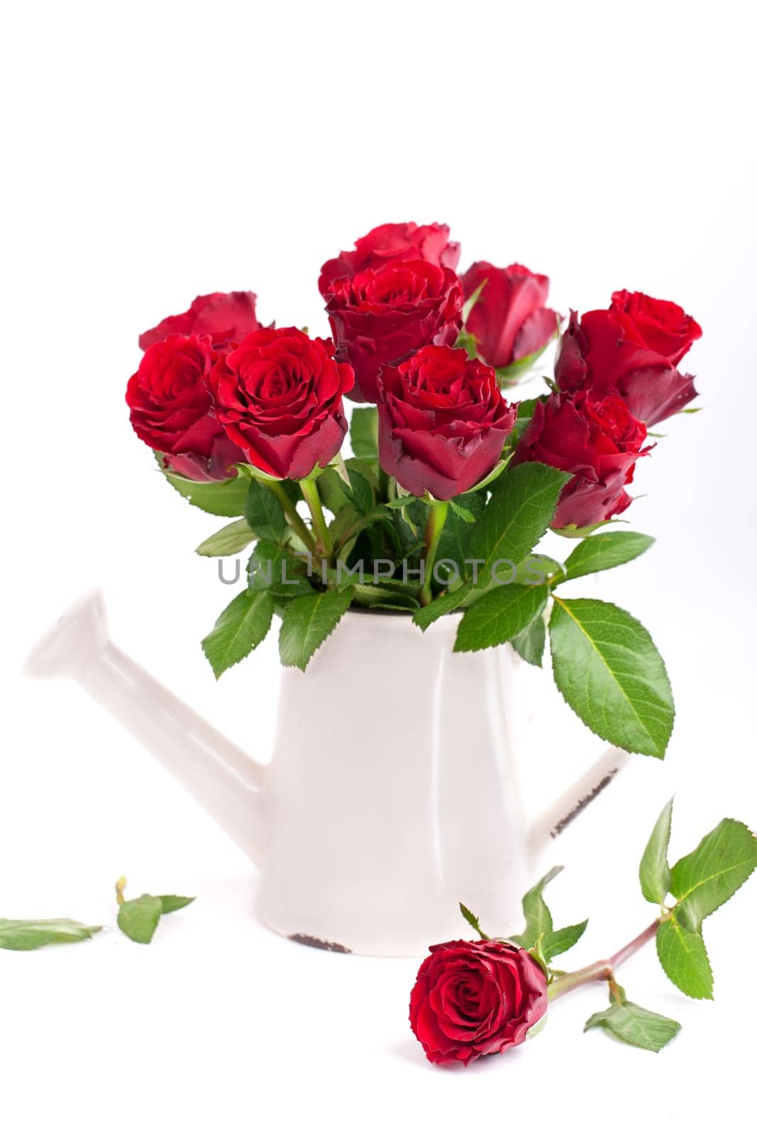red roses in a vase