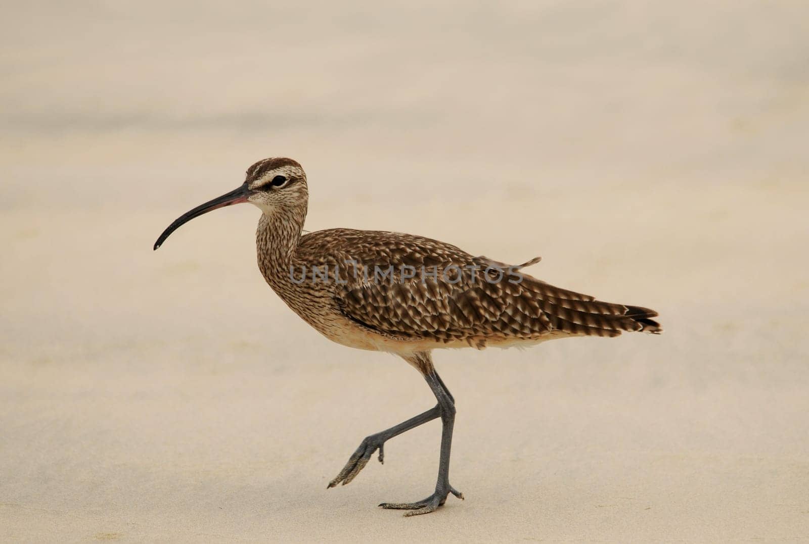 Taken on the beach in Galapagos