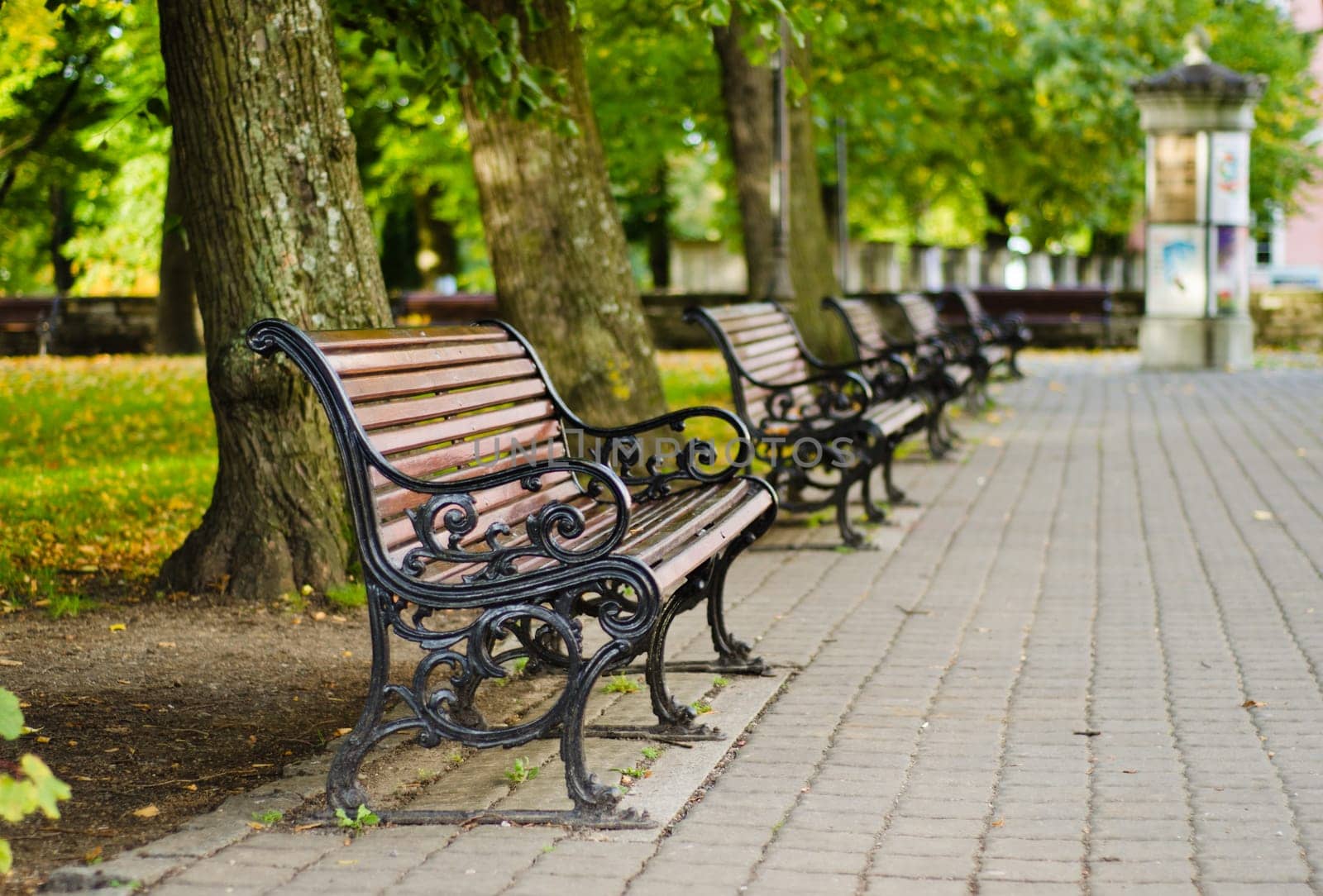 Benches in autumn park, small depth of sharpness