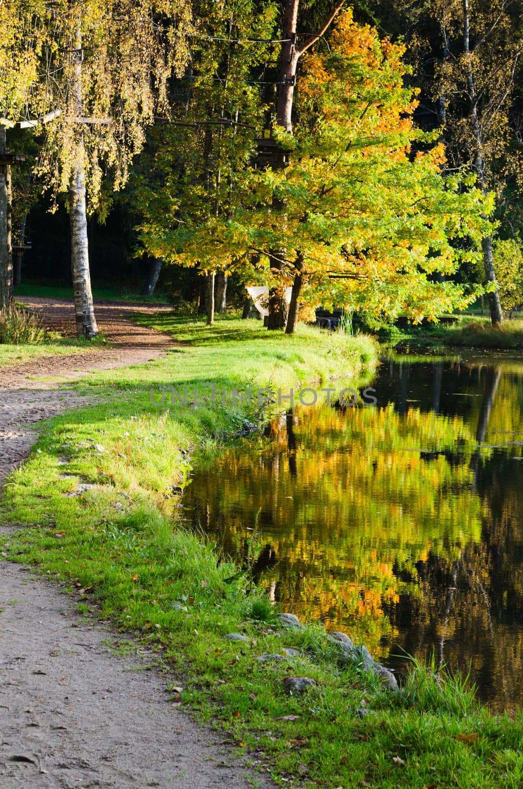 Autumn park with a pond