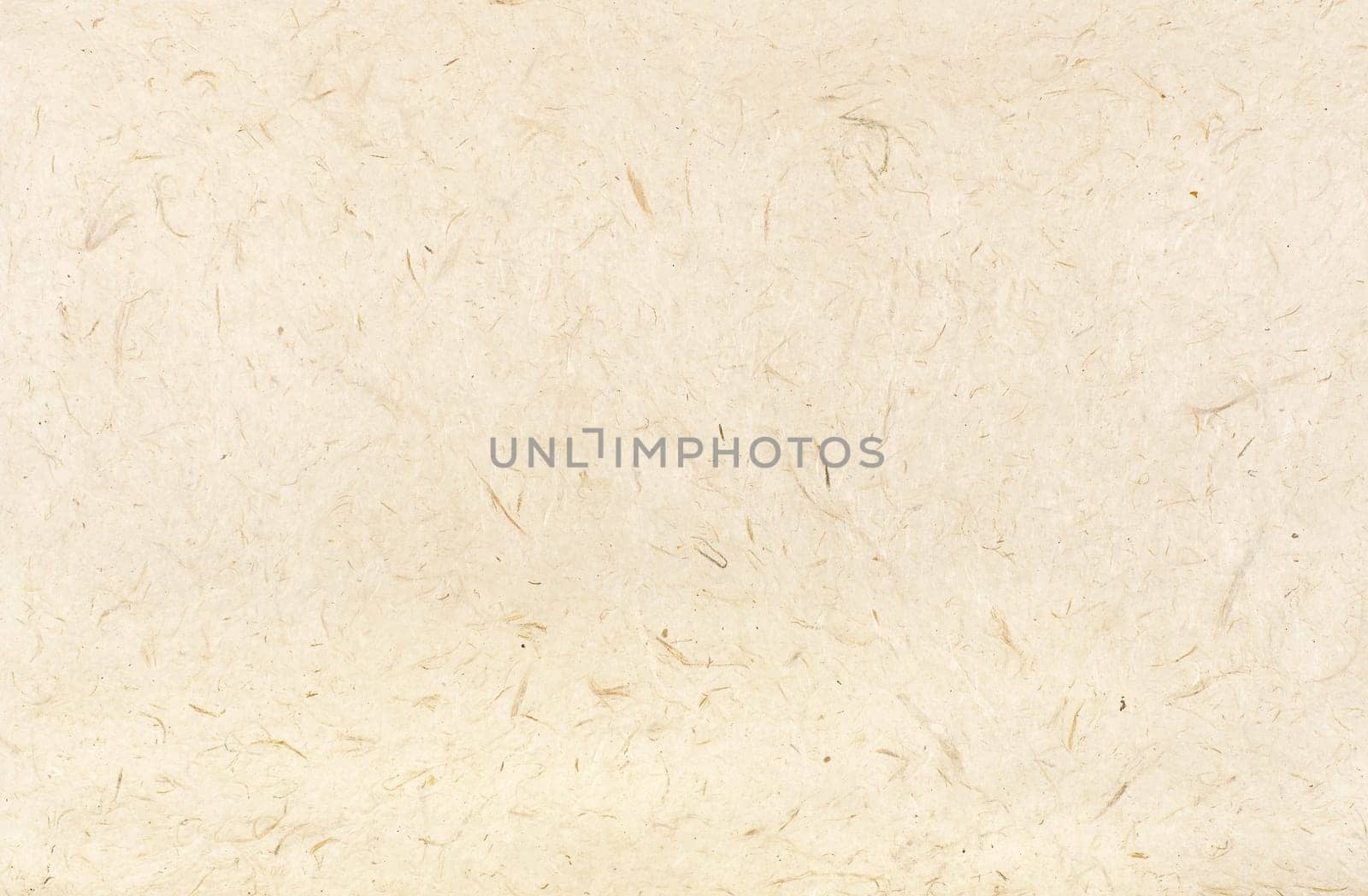 handmade Himalayan paper
