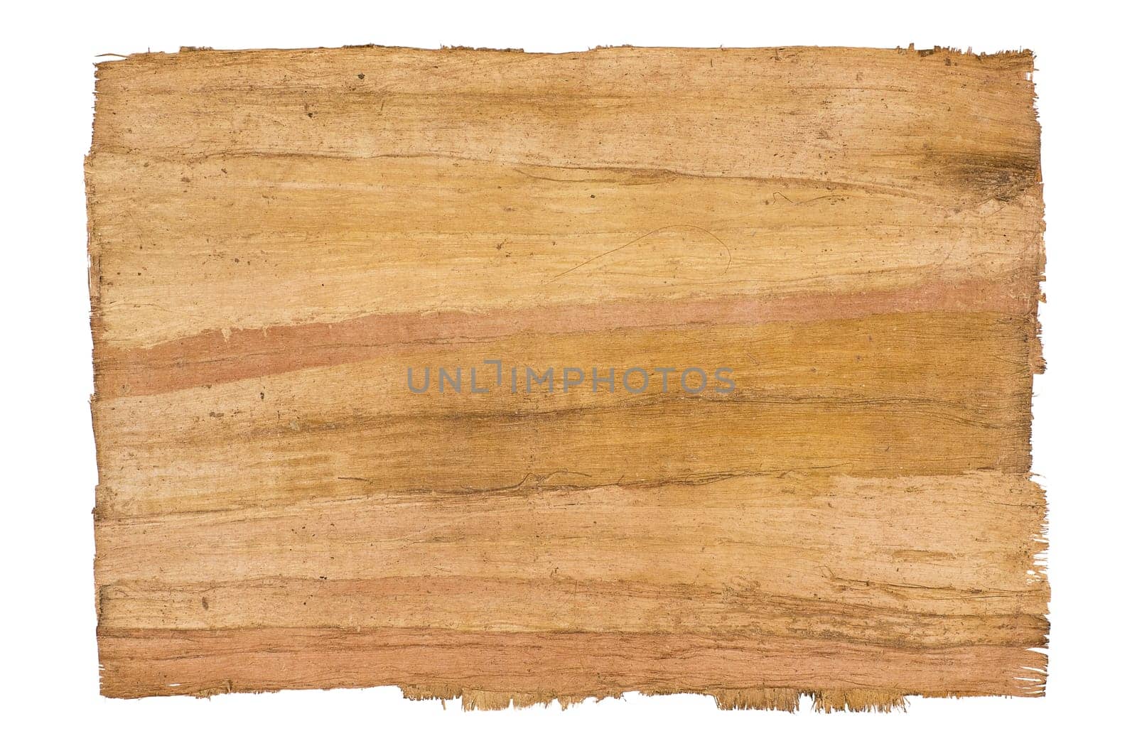 Antique Papyrus