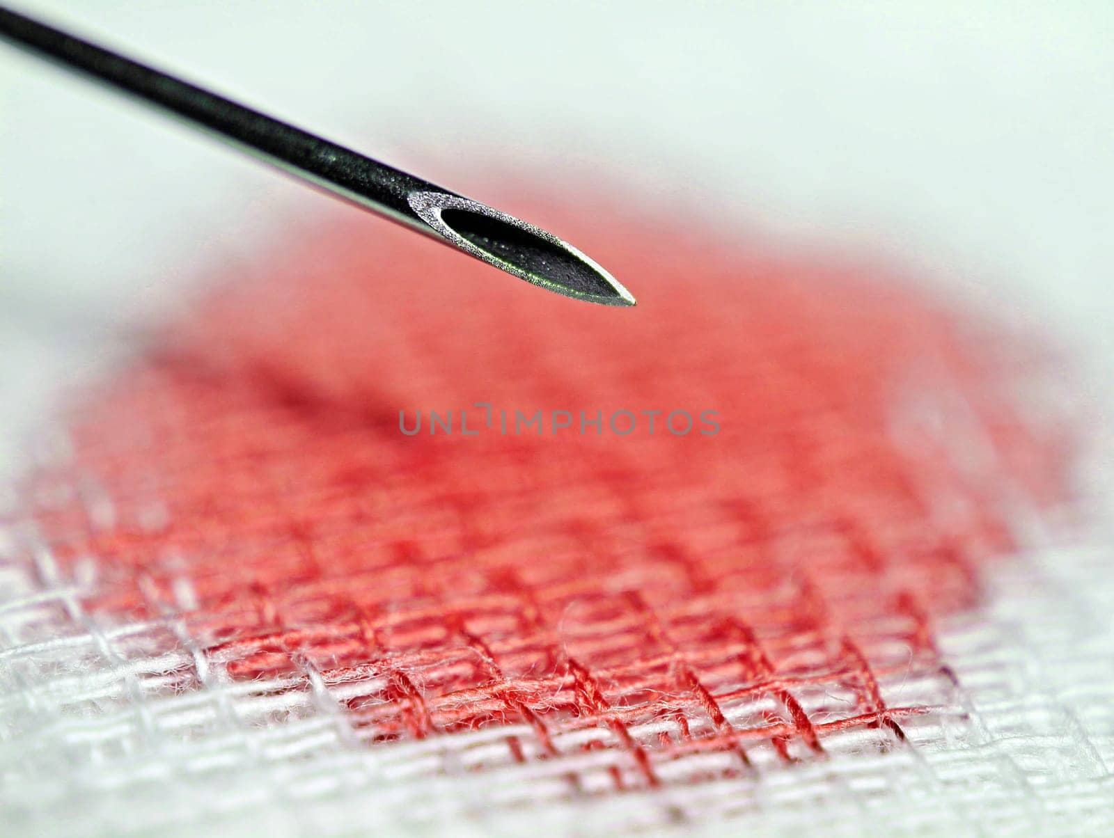 Macro image of a 20G injection cannula