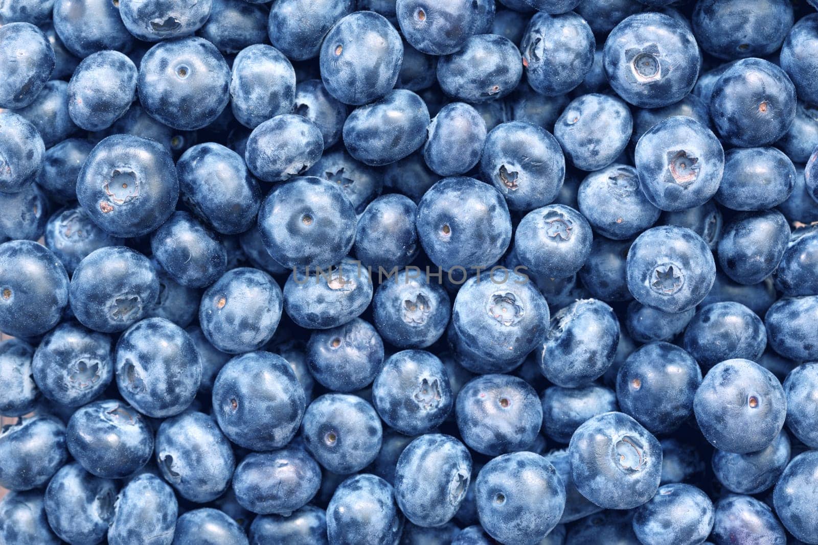 blueberries background