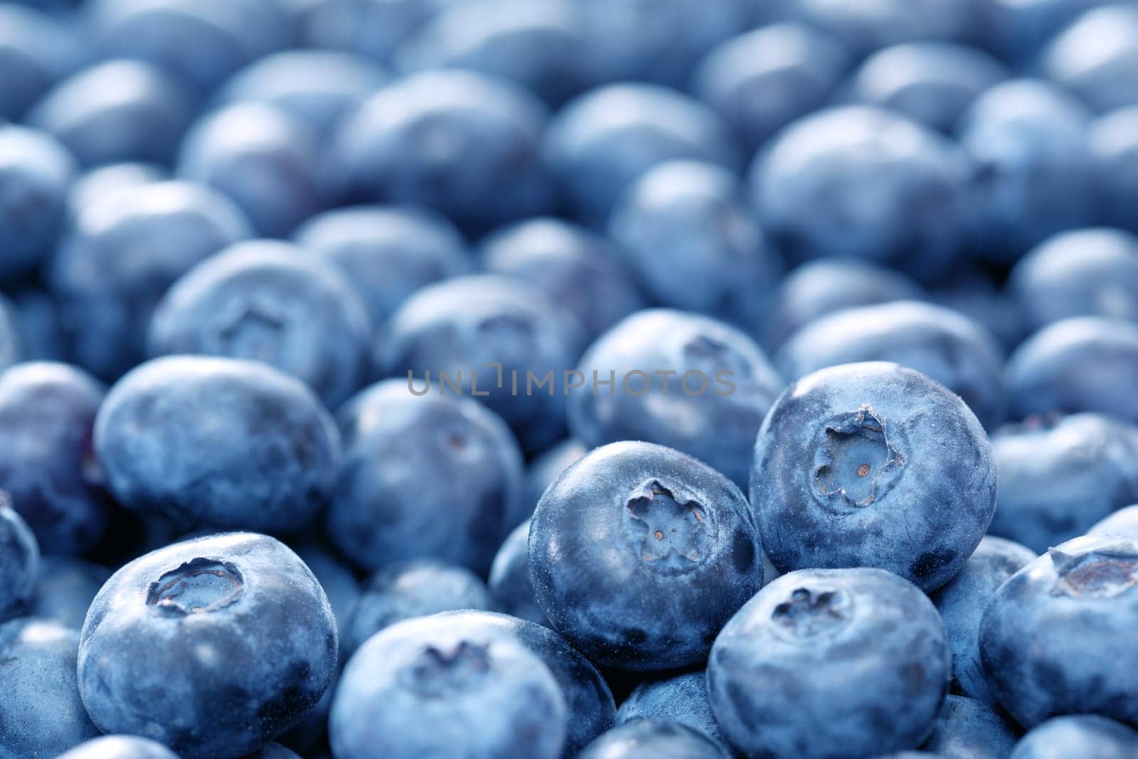blueberries background