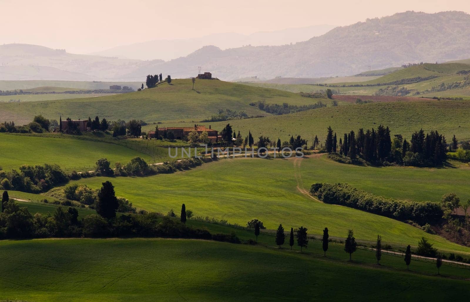 Green tuscany landscape in spring time