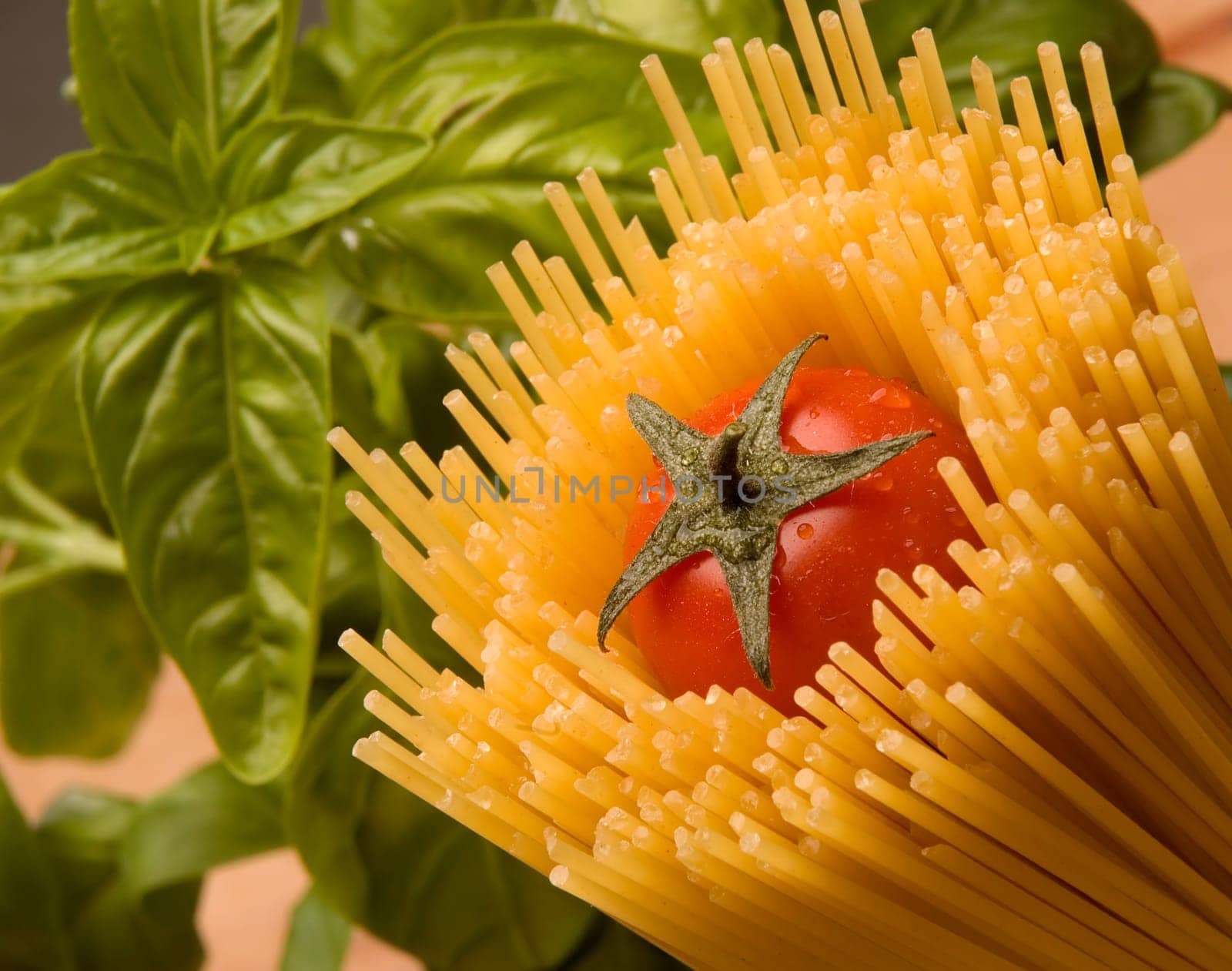 spaghetti with tomato in center and basil in background