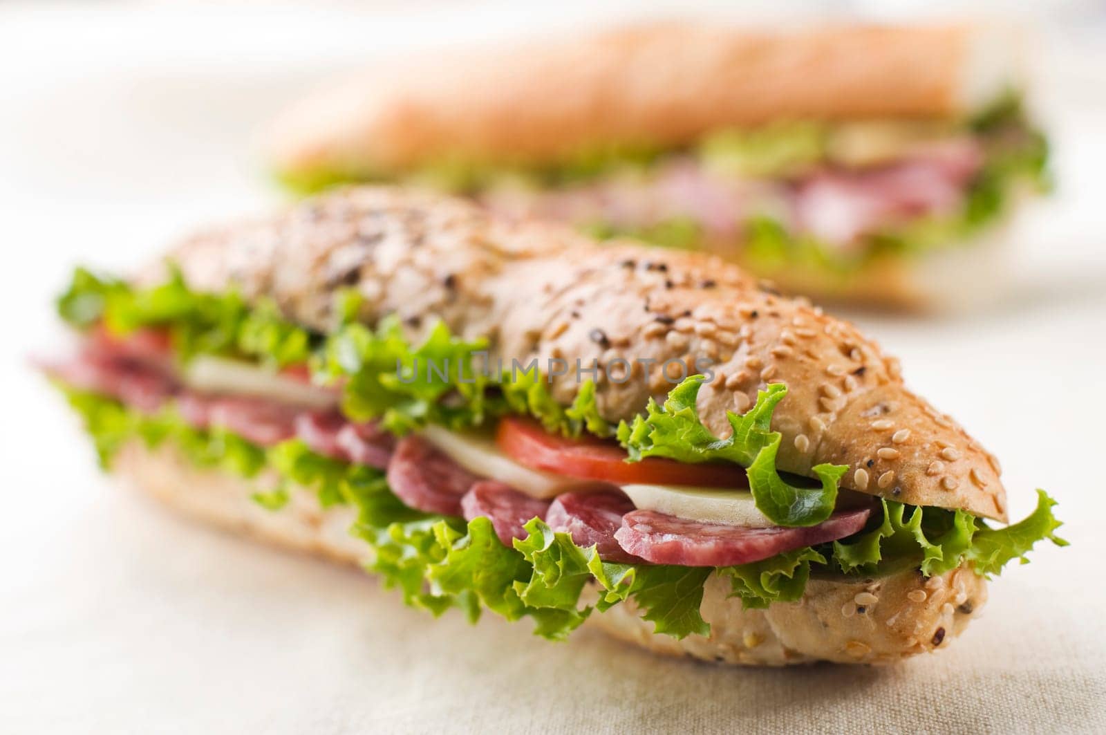 Fresh salami, cheese and tomato sandwich close up
