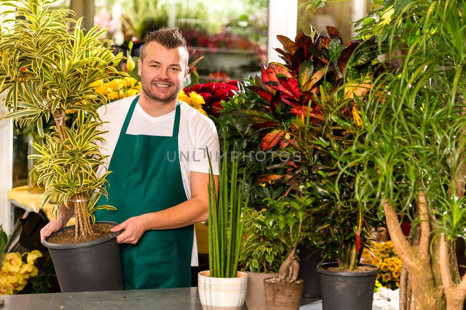 Male shop assistant potted plant flower working smiling