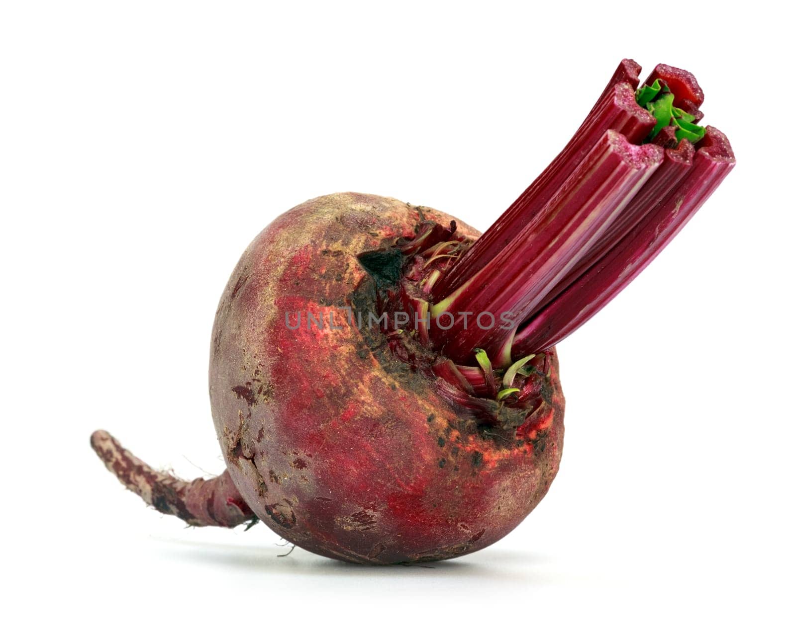 beet over white background