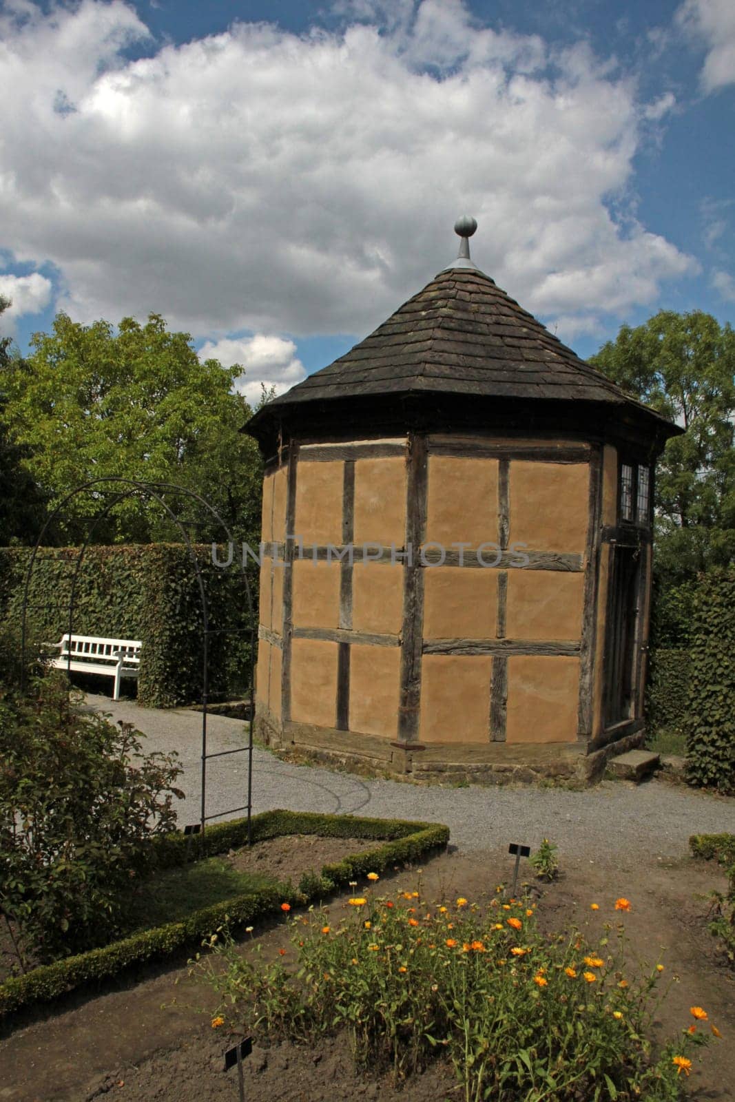 Arbor