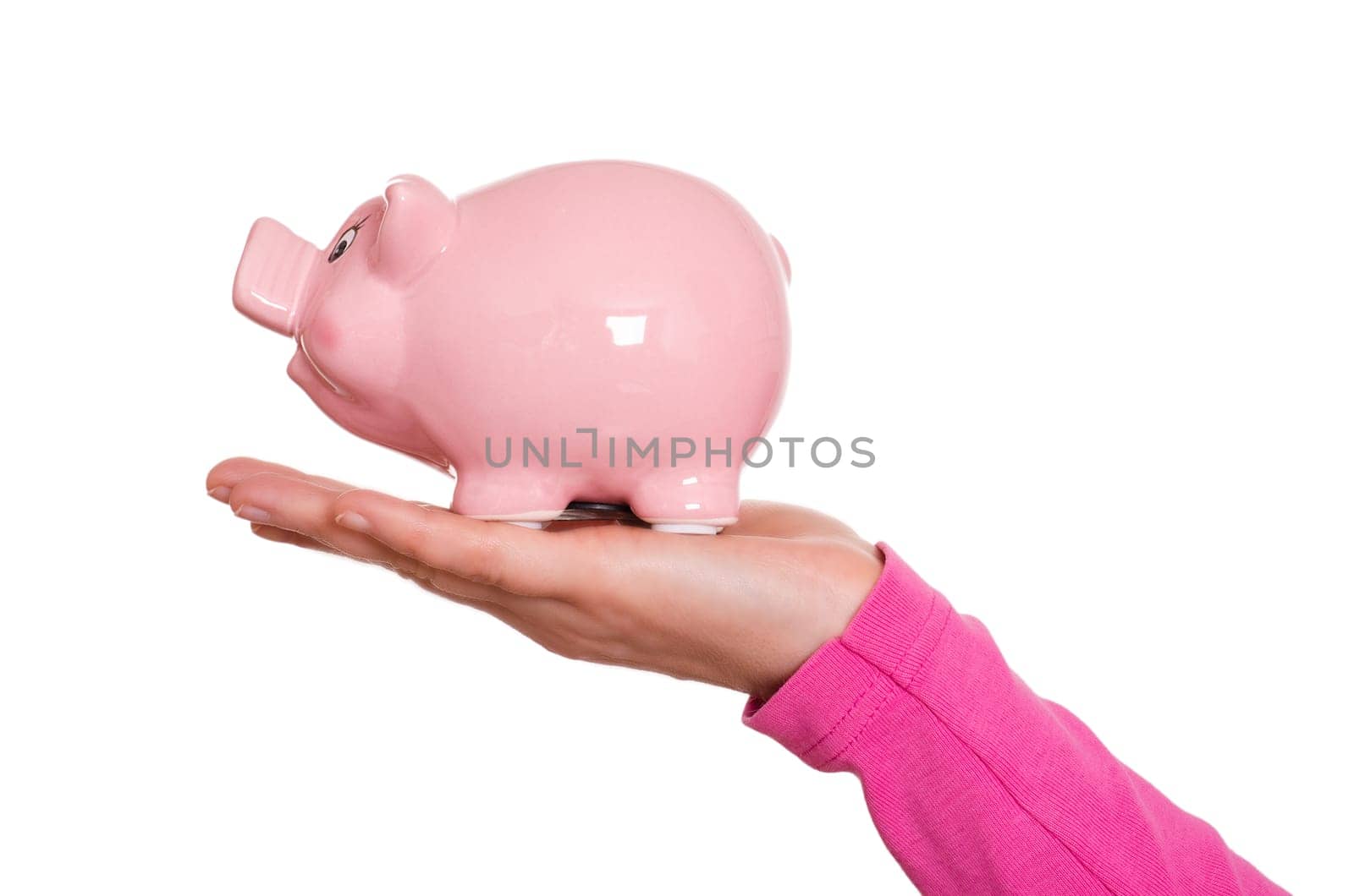 Funny pink pig on a female hand