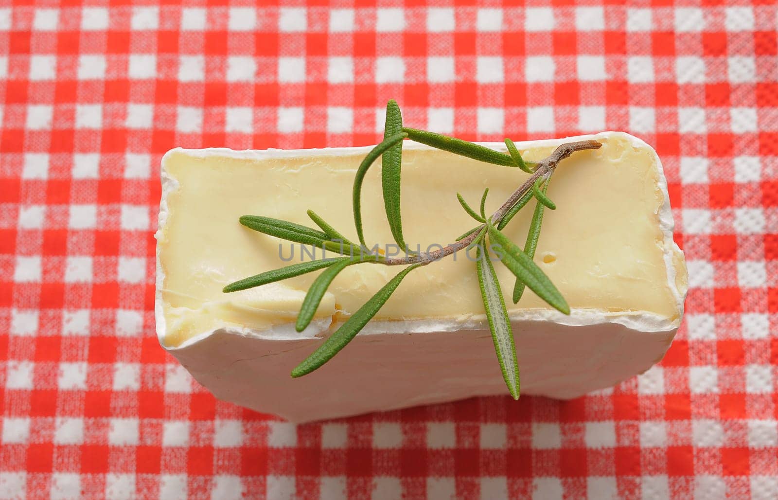 Cheese