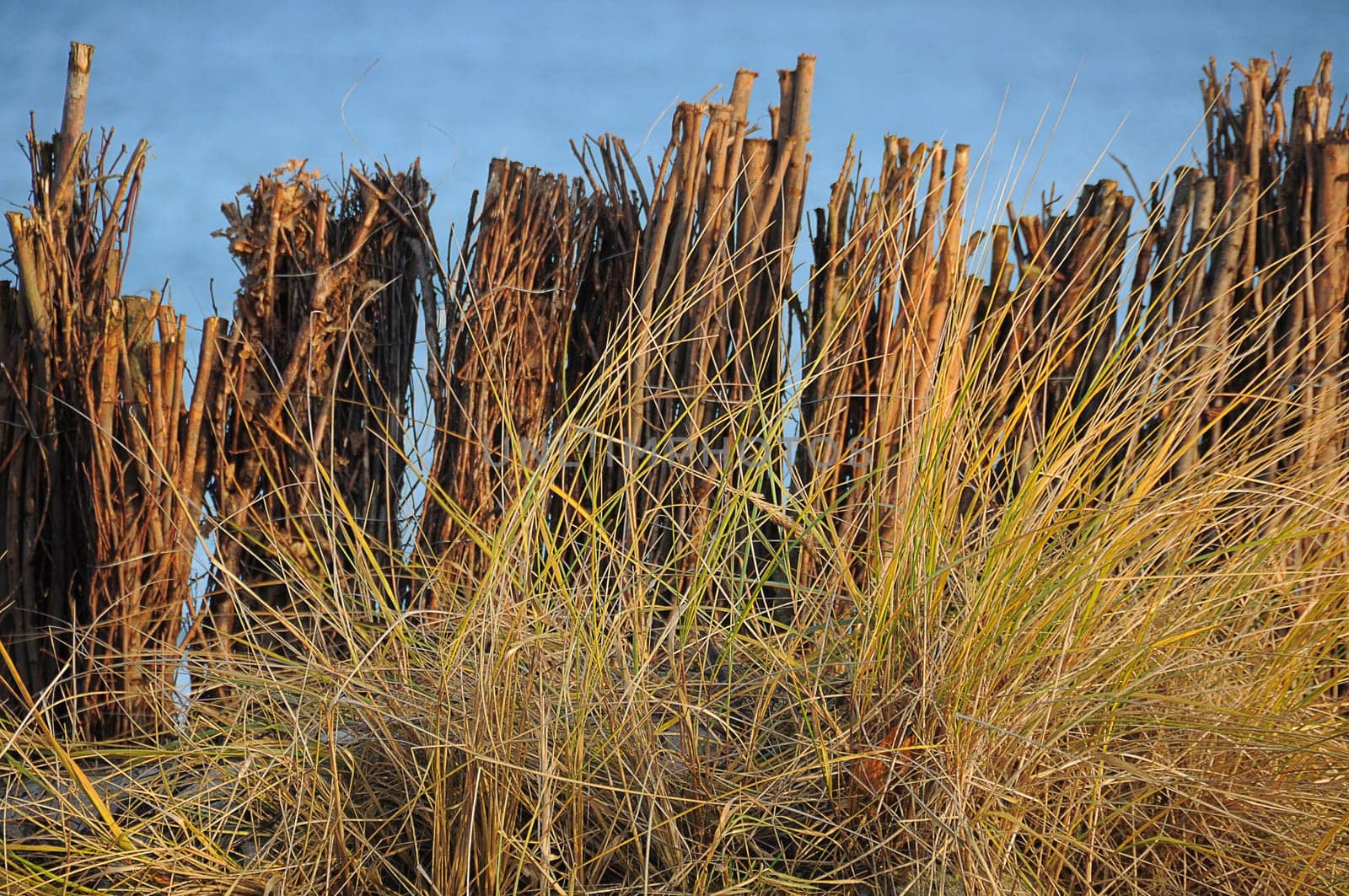 Dune protection