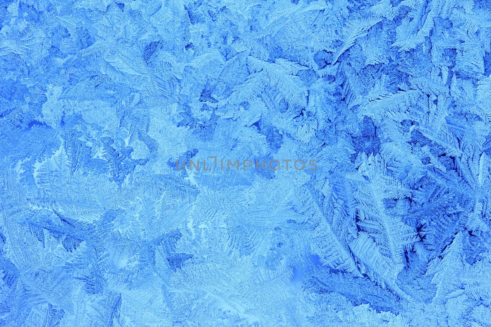 Ice flowers on an icy window pane