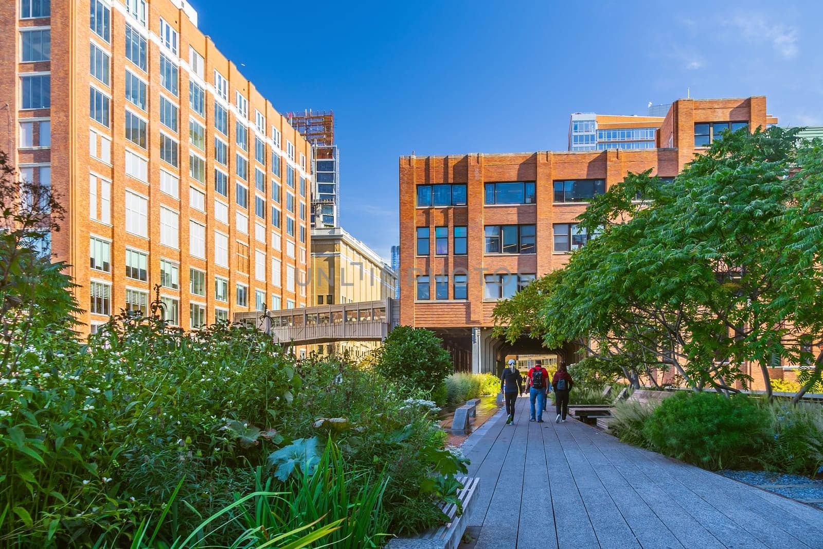 The High Line, a famous public park in Manhattan United States