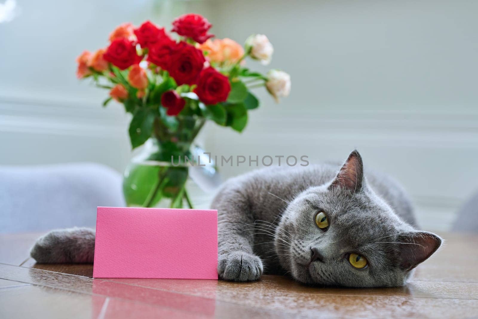 Relaxed happy cat lying on table with bouquet of flowers in vase and blank card with copy space. Holiday, decoration, invitation, congratulations, gift concept