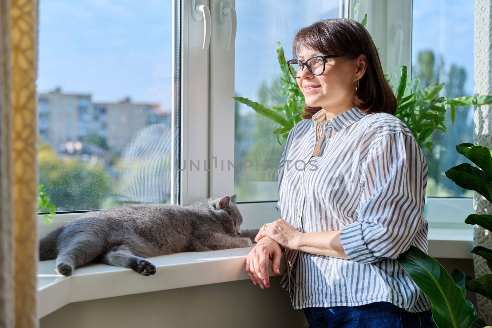 Mature smiling woman looking out window at home with relaxed cat lying on windowsill enjoying warmth of sun. Lifestyle home comfort joy happiness, animals pets, middle aged people concept
