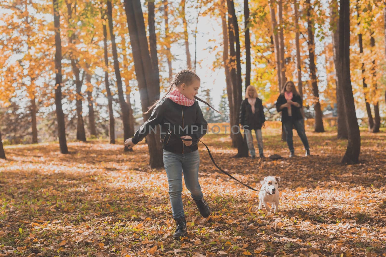 Little girl running with her dog jack russell terrier among autumn leaves. Mother and grandmother walks behind by Satura86