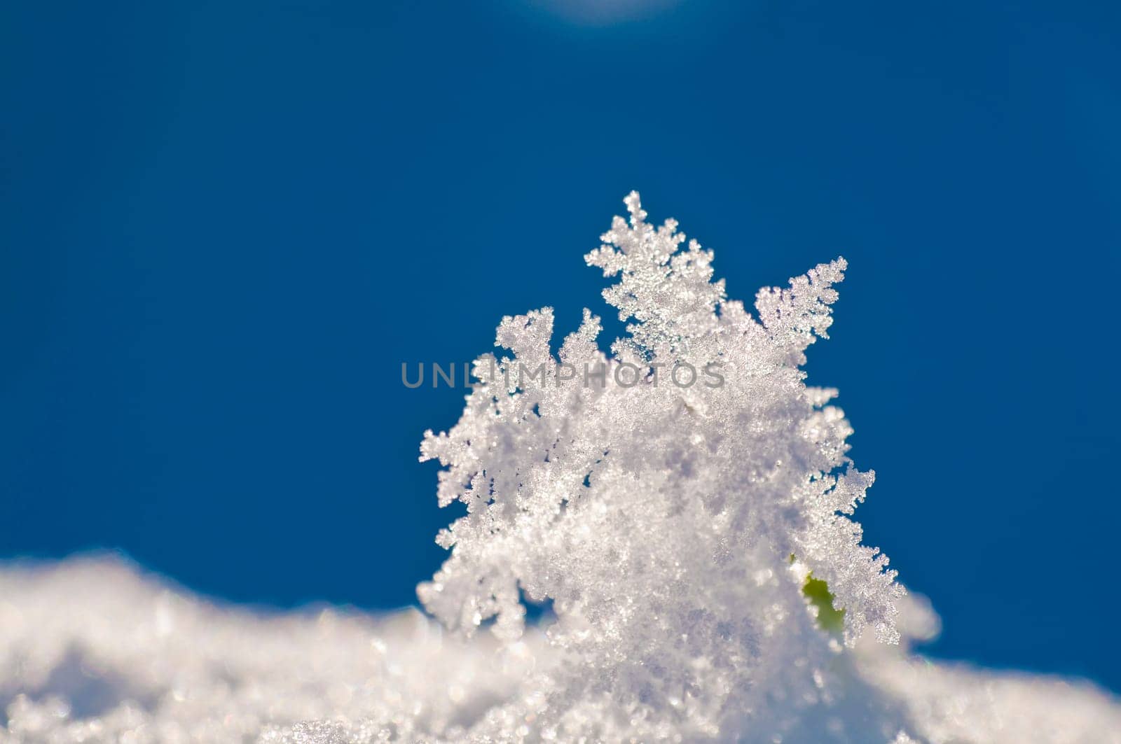 Ice crystals on the blade of grass