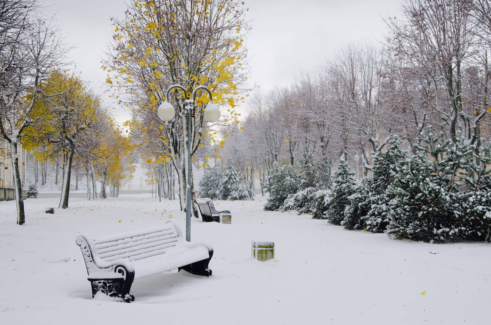 Alley in the Park later in the autumn. Snow storm
