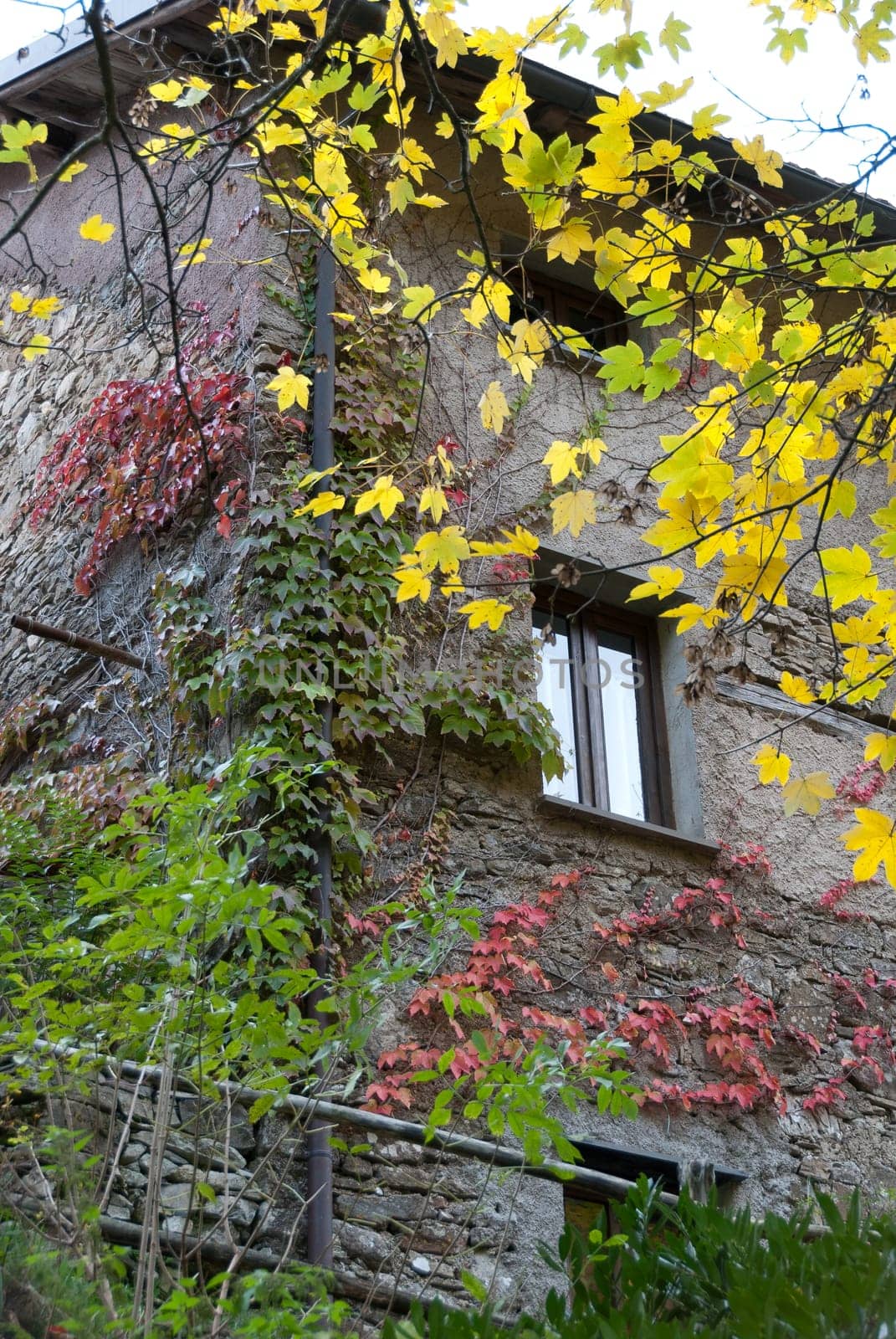 stone house with trees during autumn