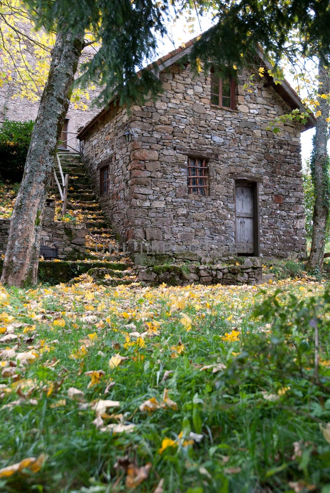 stone house and lawn with yellow leaves in autumn